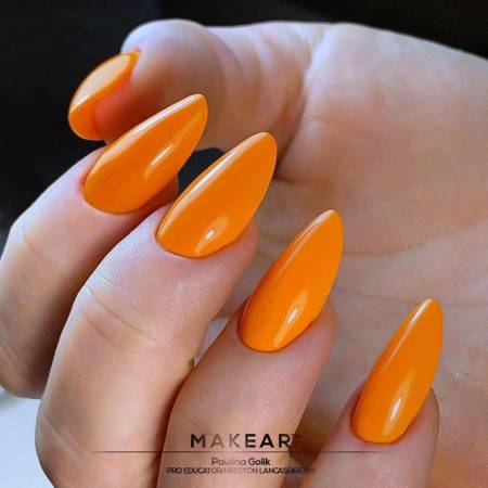 N27 UV Gel Polish MAKEAR 8ml - Image 5