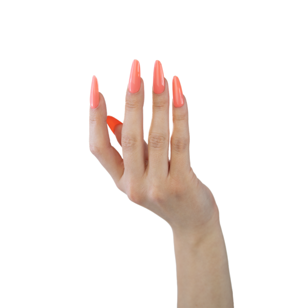 856 UV Gel Polish Makear - Image 2